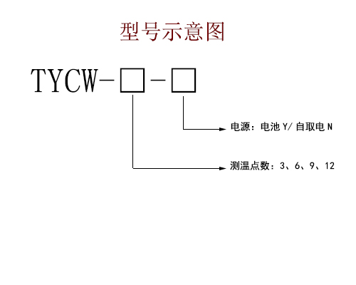 TYCW型号示意图